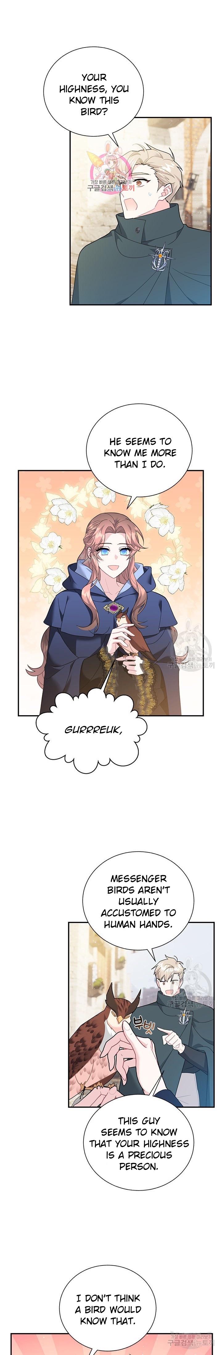 Cavier Falcon Princess Chapter 72 - Page 1