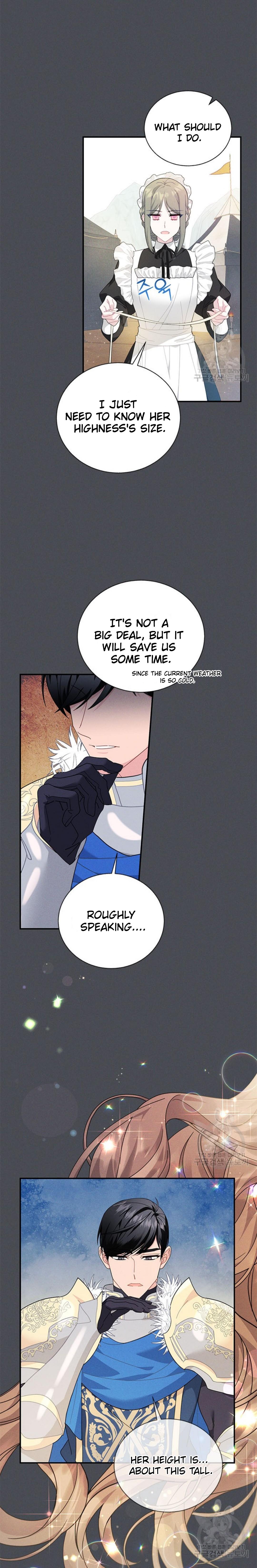 Cavier Falcon Princess Chapter 73 - Page 17