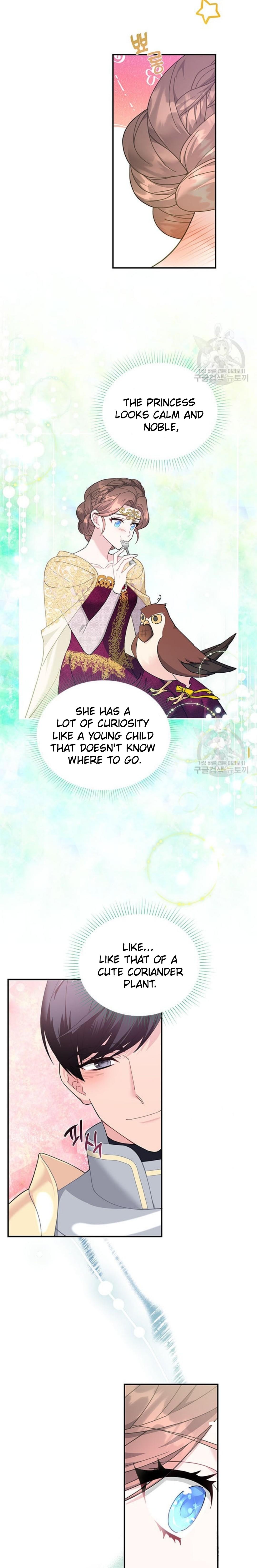 Cavier Falcon Princess Chapter 74 - Page 9