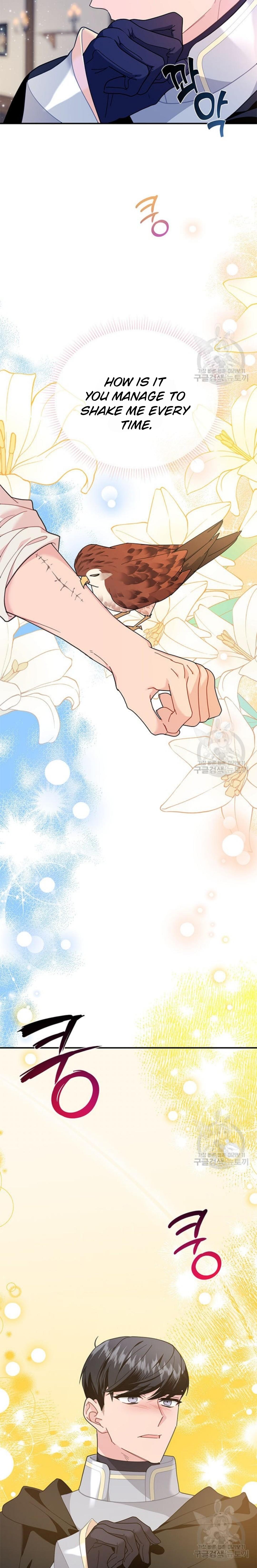 Cavier Falcon Princess Chapter 75 - Page 18