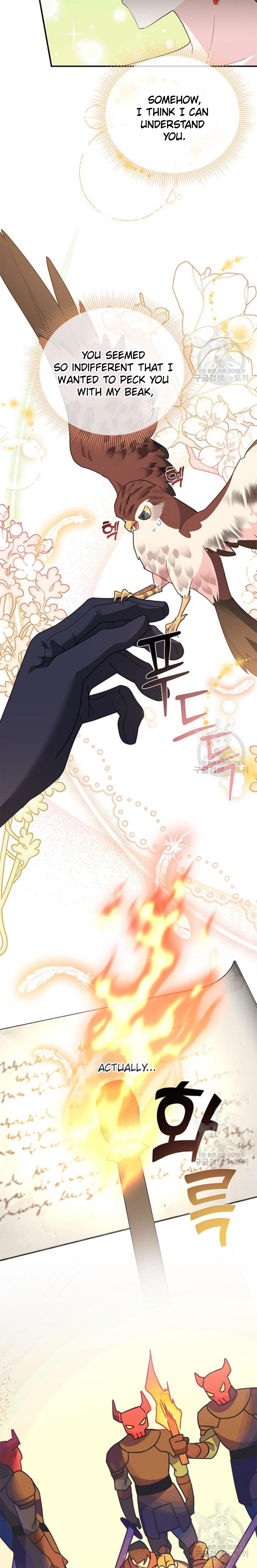 Cavier Falcon Princess Chapter 75 - Page 9