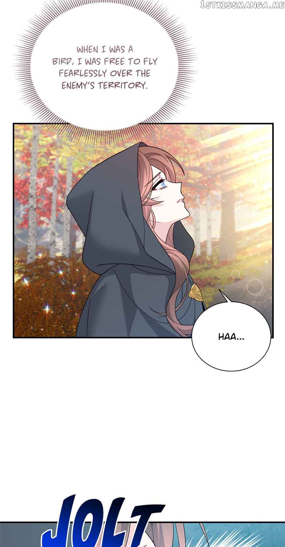 Cavier Falcon Princess Chapter 77 - Page 25