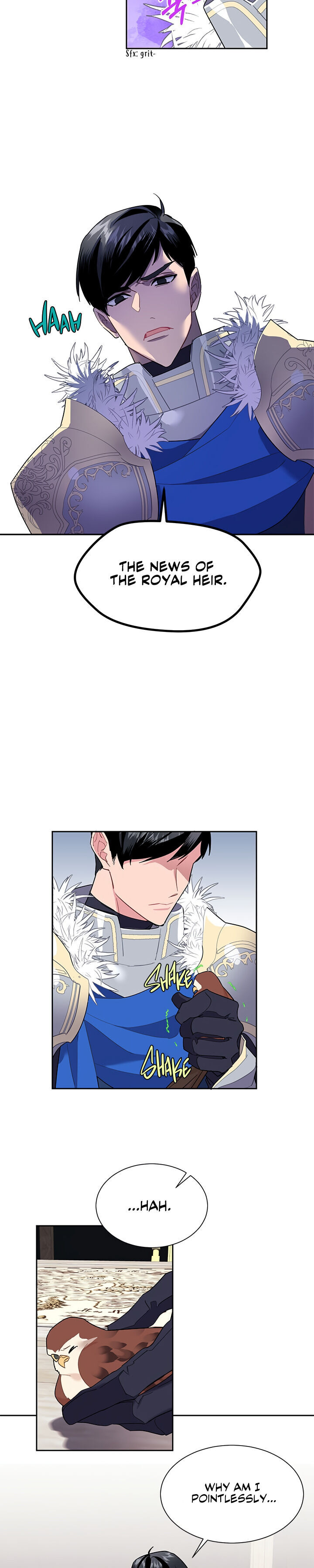 Cavier Falcon Princess Chapter 9 - Page 15