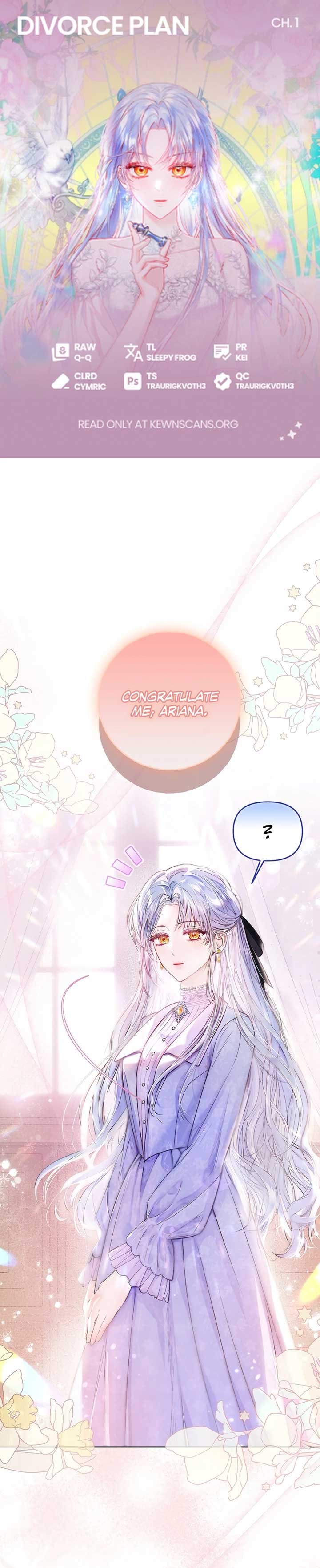 Divorce Plan Chapter 1 - Page 1