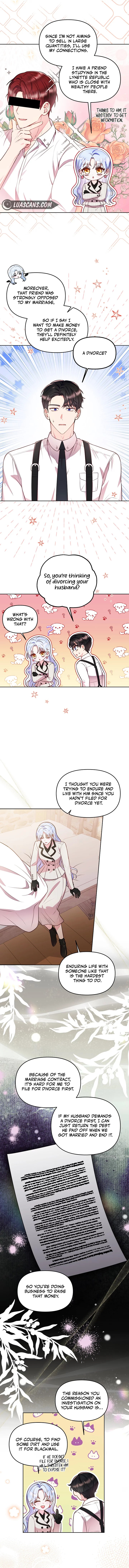 Divorce Plan Chapter 13 - Page 3