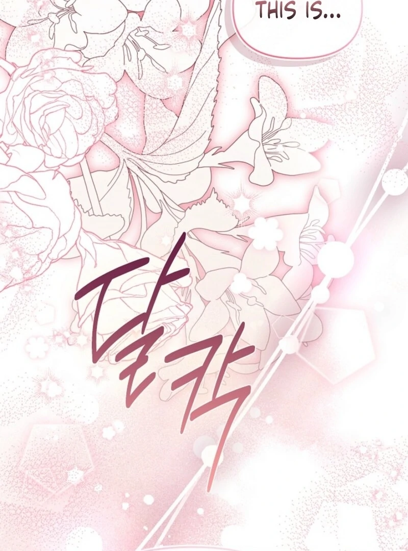 Divorce Plan Chapter 63 - Page 46