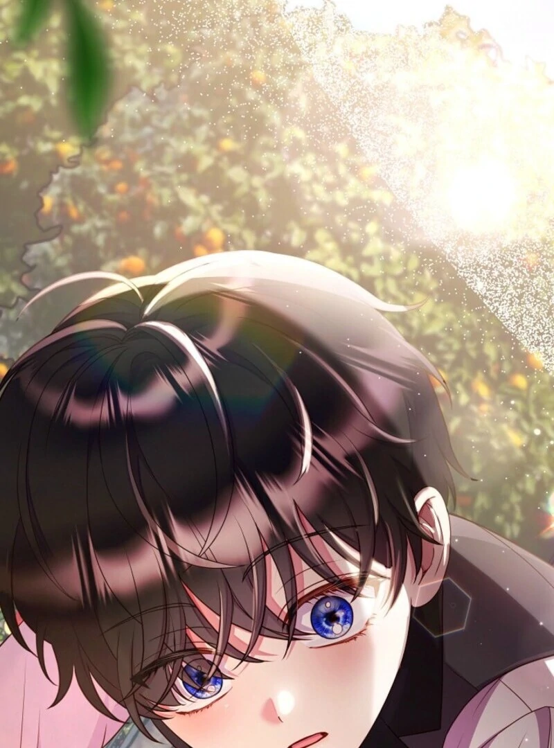 Divorce Plan Chapter 64 - Page 71