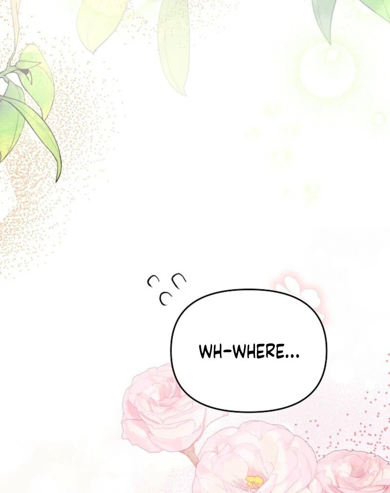 Divorce Plan Chapter 65 - Page 75