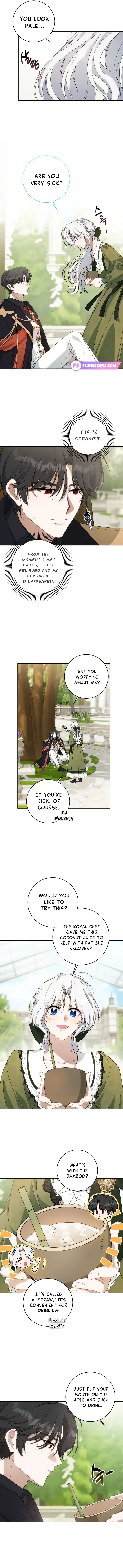 The Obsessive Emperor’s Capable Pharmacist Chapter 13 - Page 3