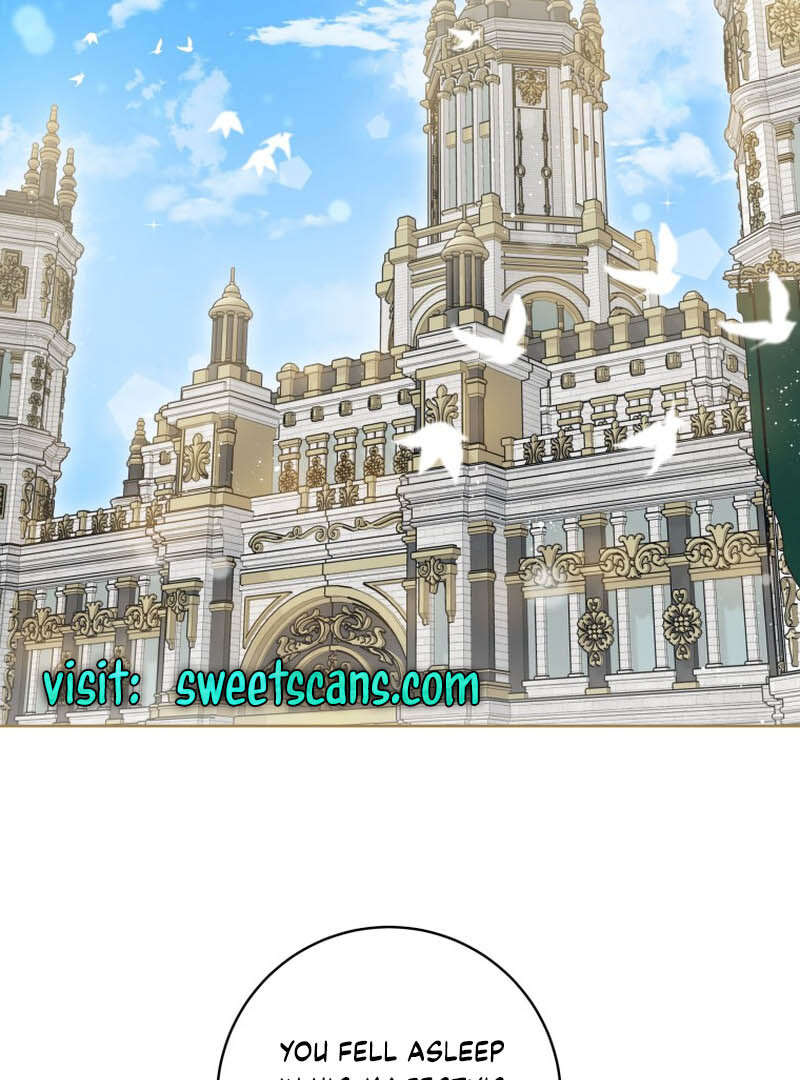 The Obsessive Emperor’s Capable Pharmacist Chapter 2 - Page 2