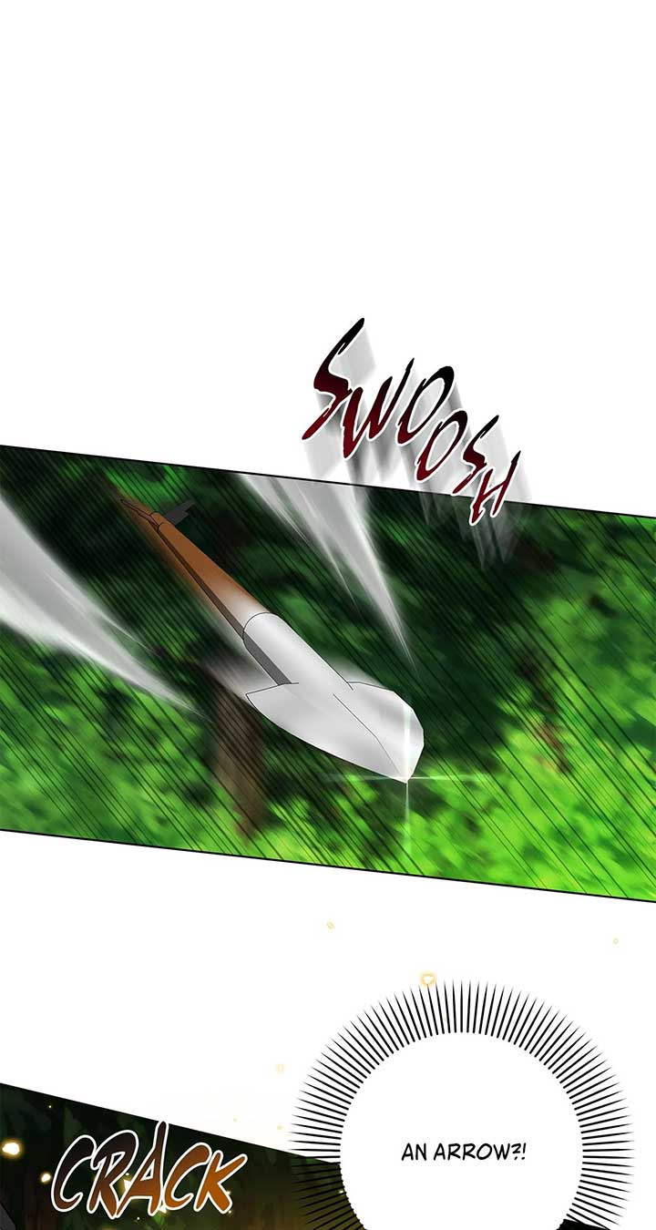 The Obsessive Emperor’s Capable Pharmacist Chapter 31 - Page 1