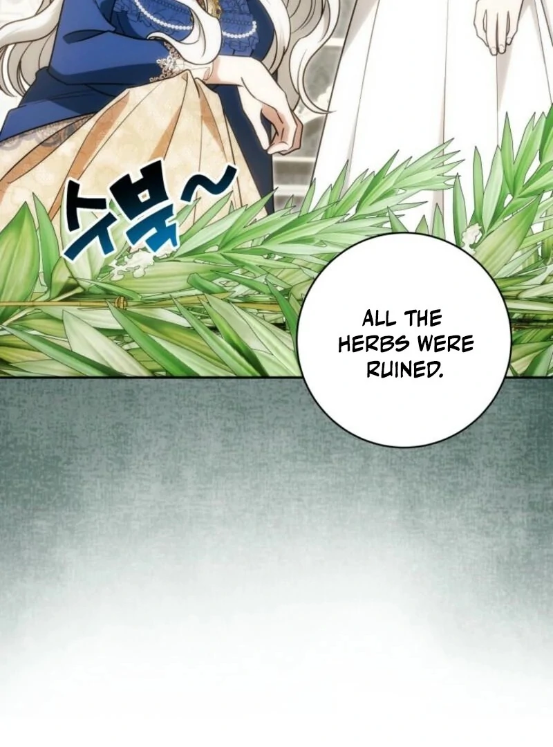 The Obsessive Emperor’s Capable Pharmacist Chapter 53 - Page 85