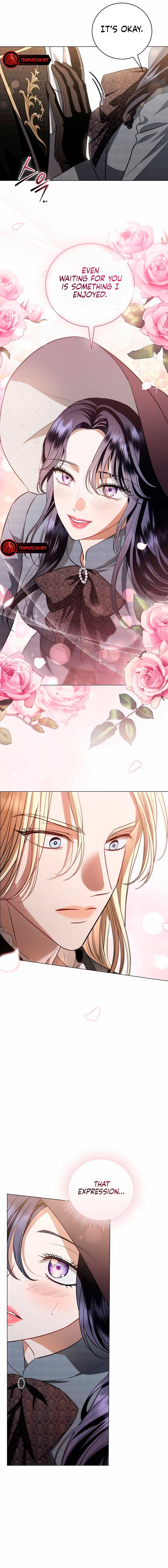 To My Husband’s Mistress Chapter 31 - Page 5