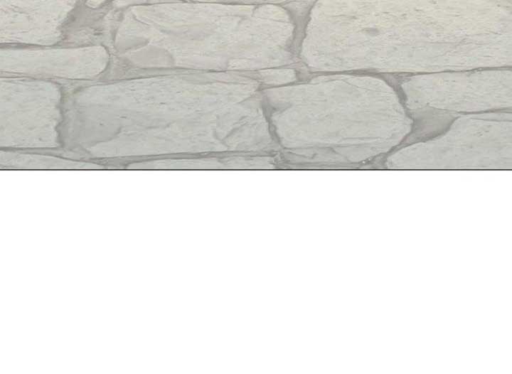 Magic Lord Chapter 16 - Page 253