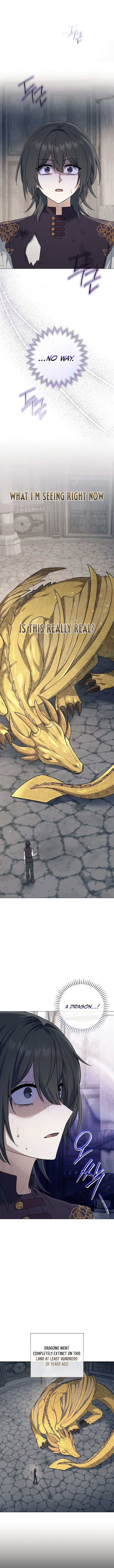 Magic Lord Chapter 4 - Page 12