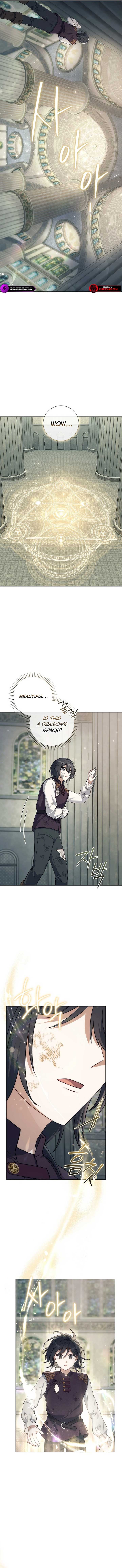 Magic Lord Chapter 4 - Page 9