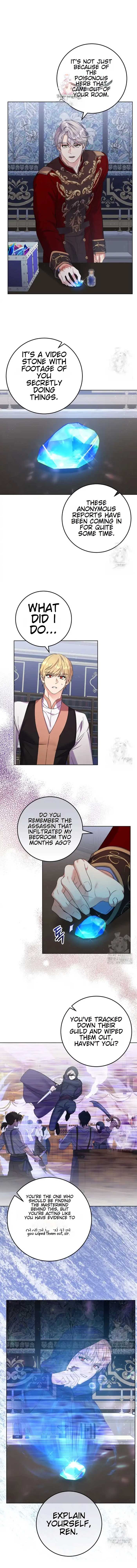 Celeb Lady Chapter 34 - Page 1