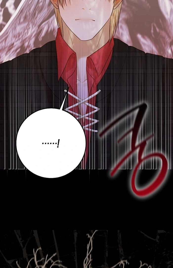 Cassnier’s Secret Memoirs Chapter 21 - Page 96