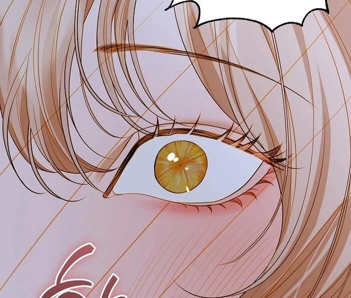 Cassnier’s Secret Memoirs Chapter 22 - Page 93