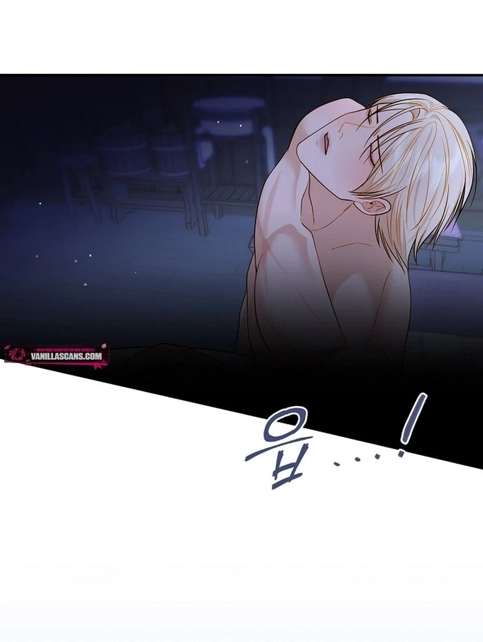 Cassnier’s Secret Memoirs Chapter 23 - Page 27