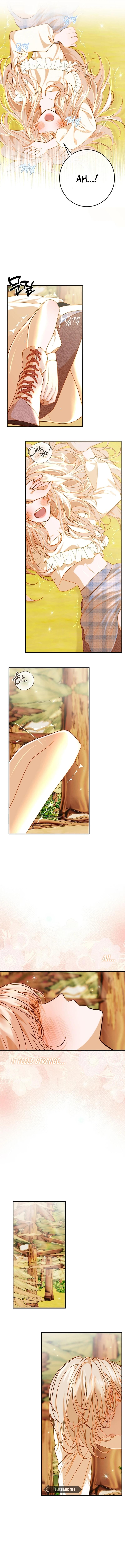 Cassnier’s Secret Memoirs Chapter 7 - Page 11