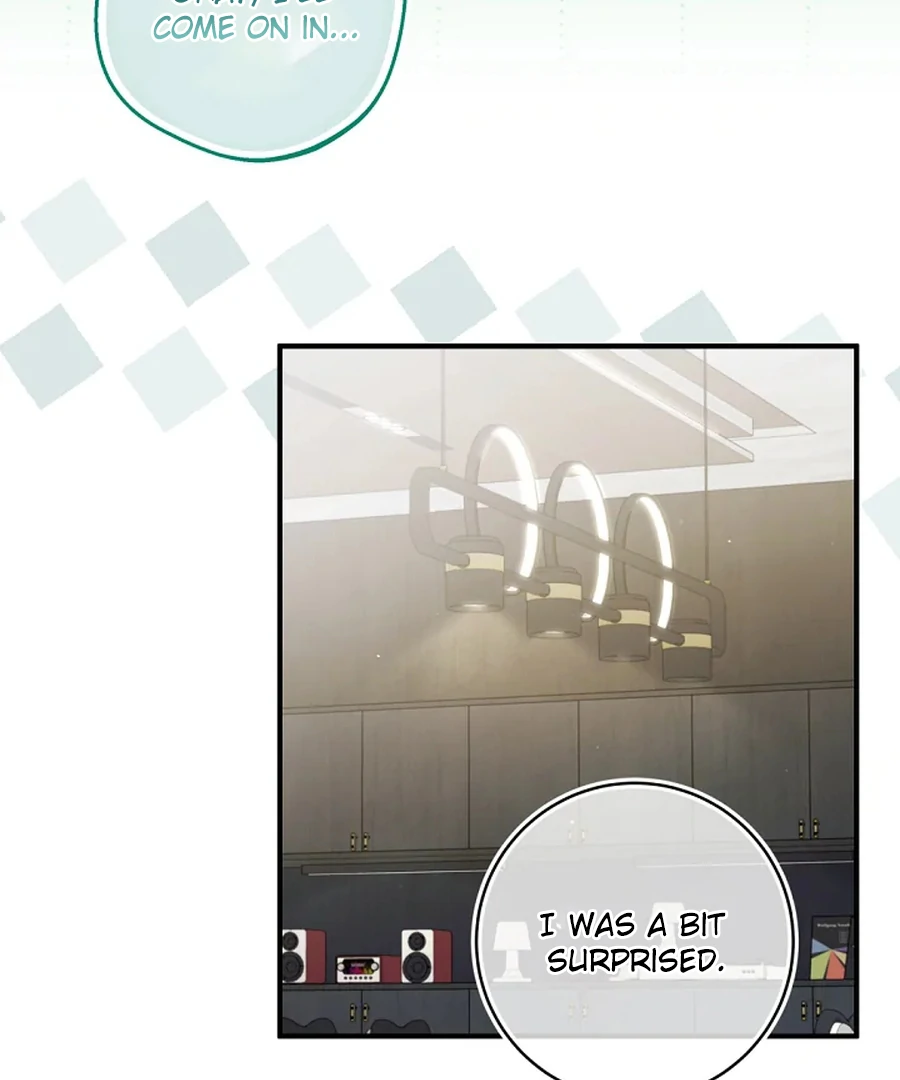 I Tried to Debut My Kid, But Ended Up Debuting Myself Chapter 30 - Page 4