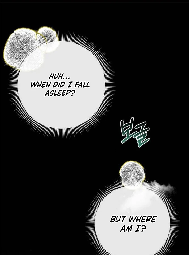 The Swindler Couple of Ardel Chapter 11 - Page 2