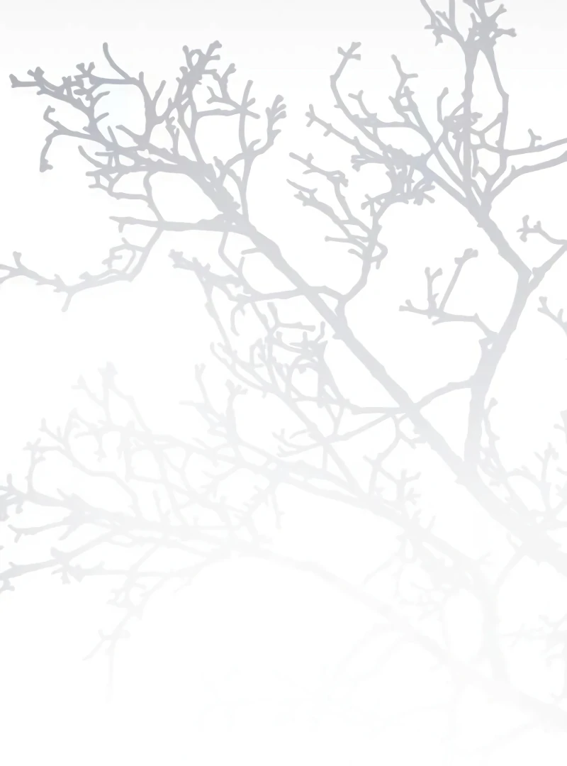 The Swindler Couple of Ardel Chapter 17 - Page 28