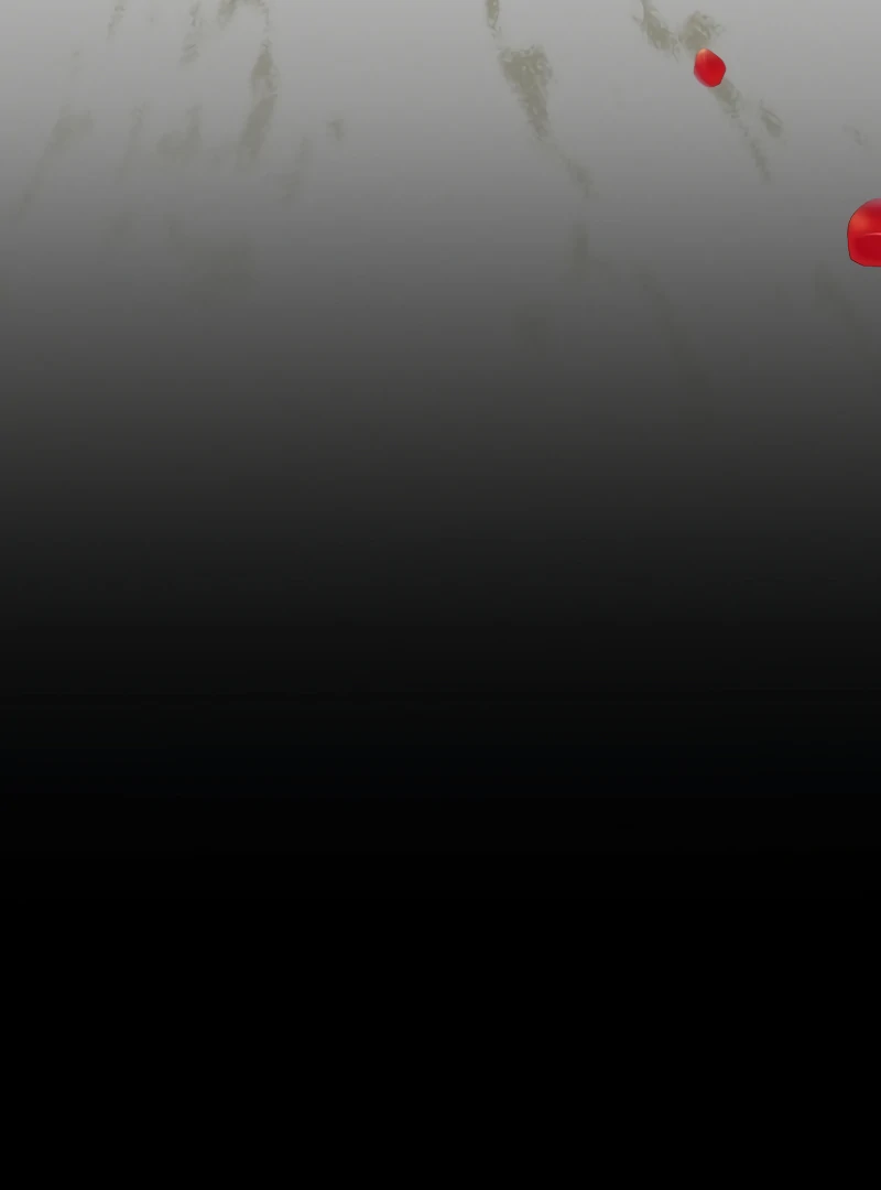 The Swindler Couple of Ardel Chapter 20 - Page 11