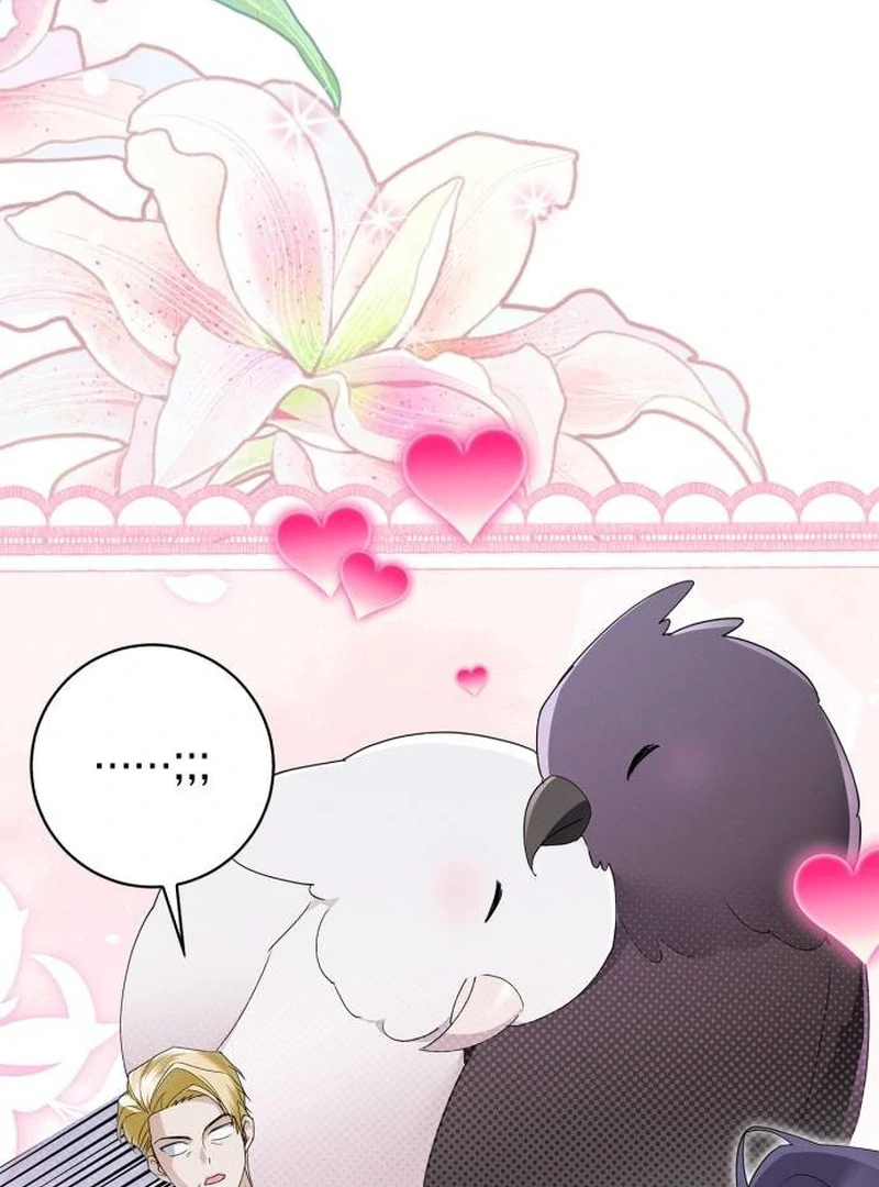 The Swindler Couple of Ardel Chapter 8 - Page 84