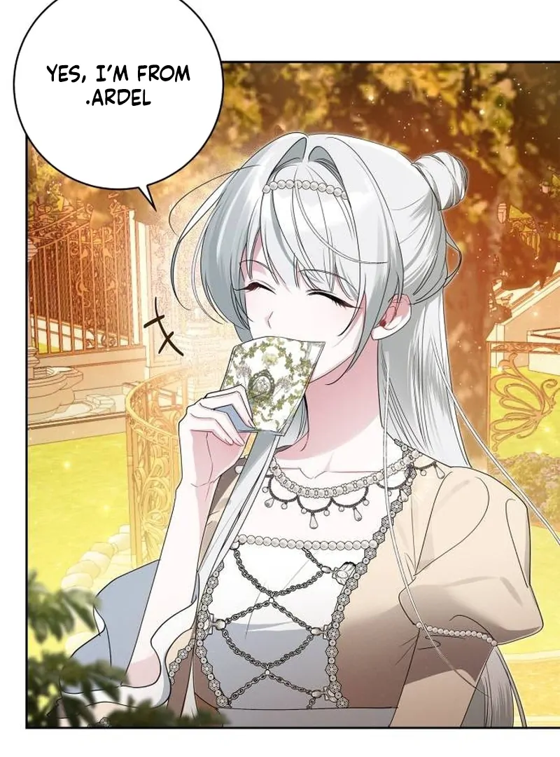 The Swindler Couple of Ardel Chapter 9 - Page 43