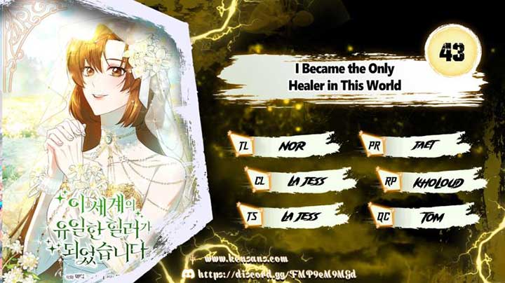 I Became the Only Healer in This World Chapter 43 - Page 1