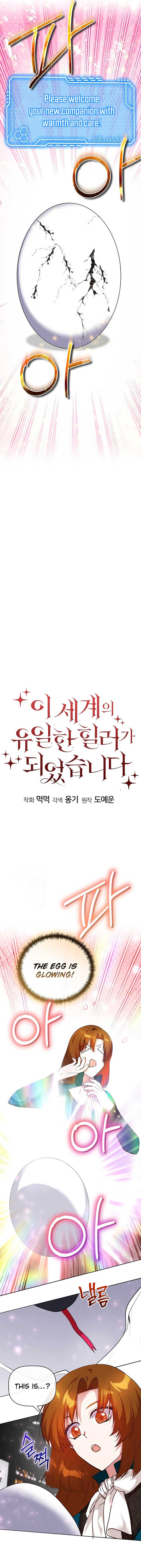 I Became the Only Healer in This World Chapter 53 - Page 4