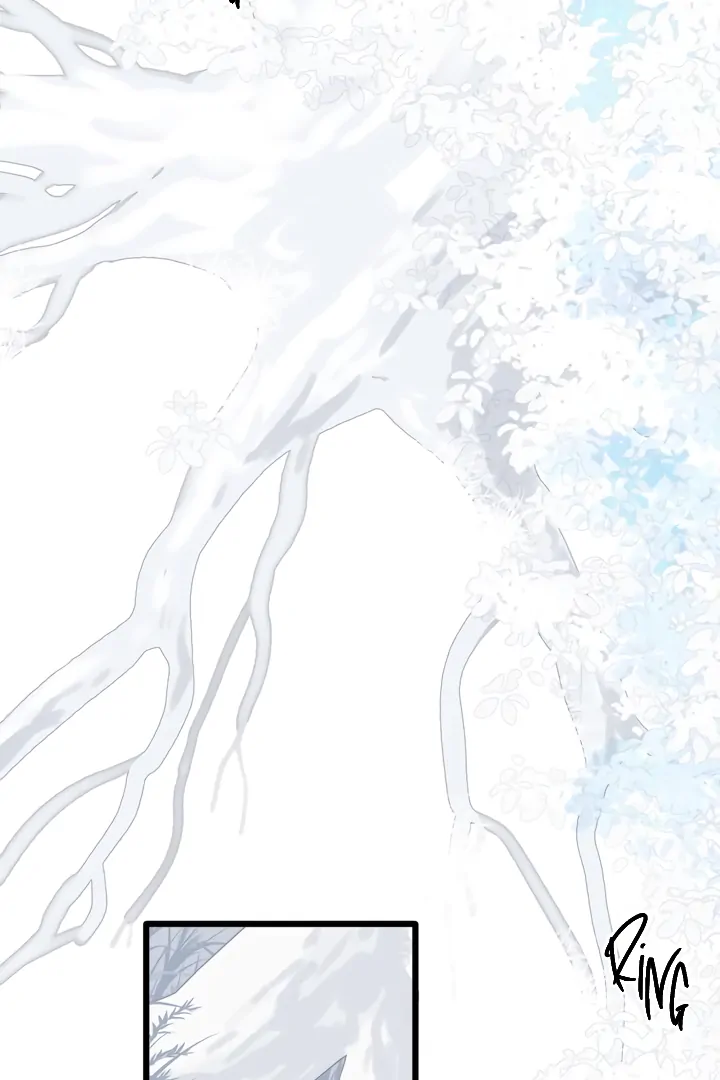 Back to Spring Chapter 36 - Page 16