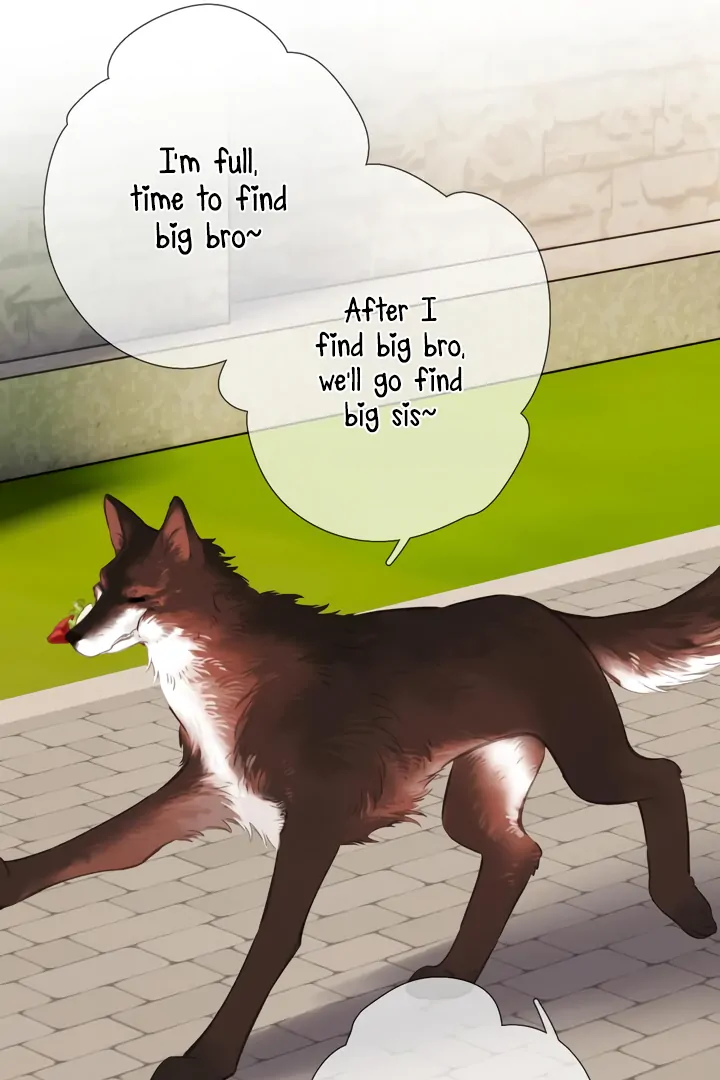 Back to Spring Chapter 45 - Page 51