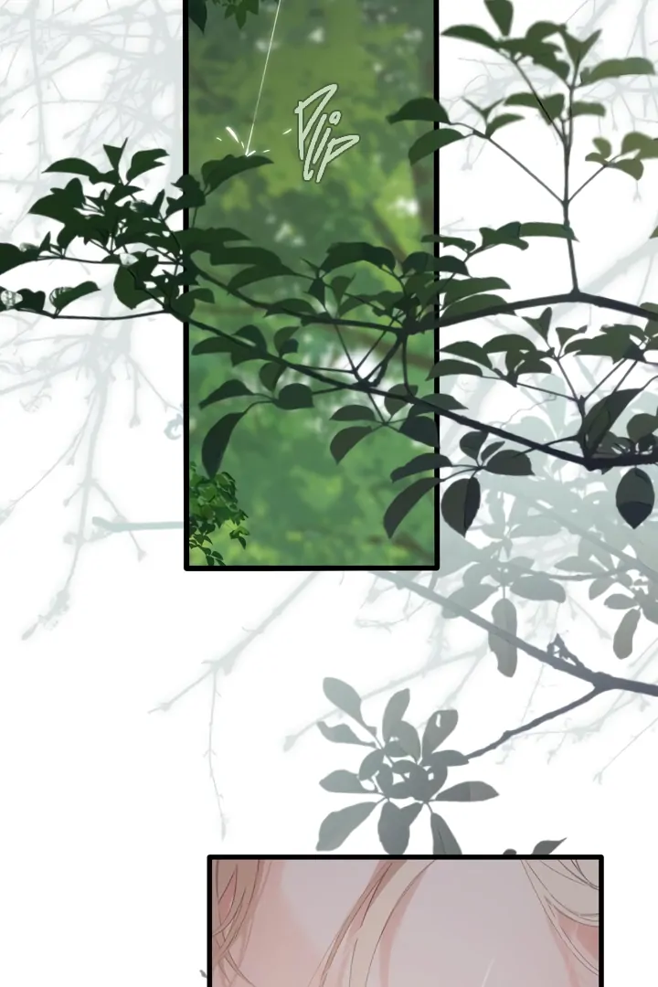 Back to Spring Chapter 52 - Page 38