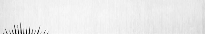 The Young Genius Paintress Chapter 10 - Page 25