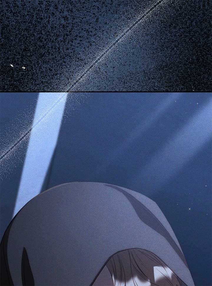 Lily Bush’s Substitute Marriage Chapter 24 - Page 113