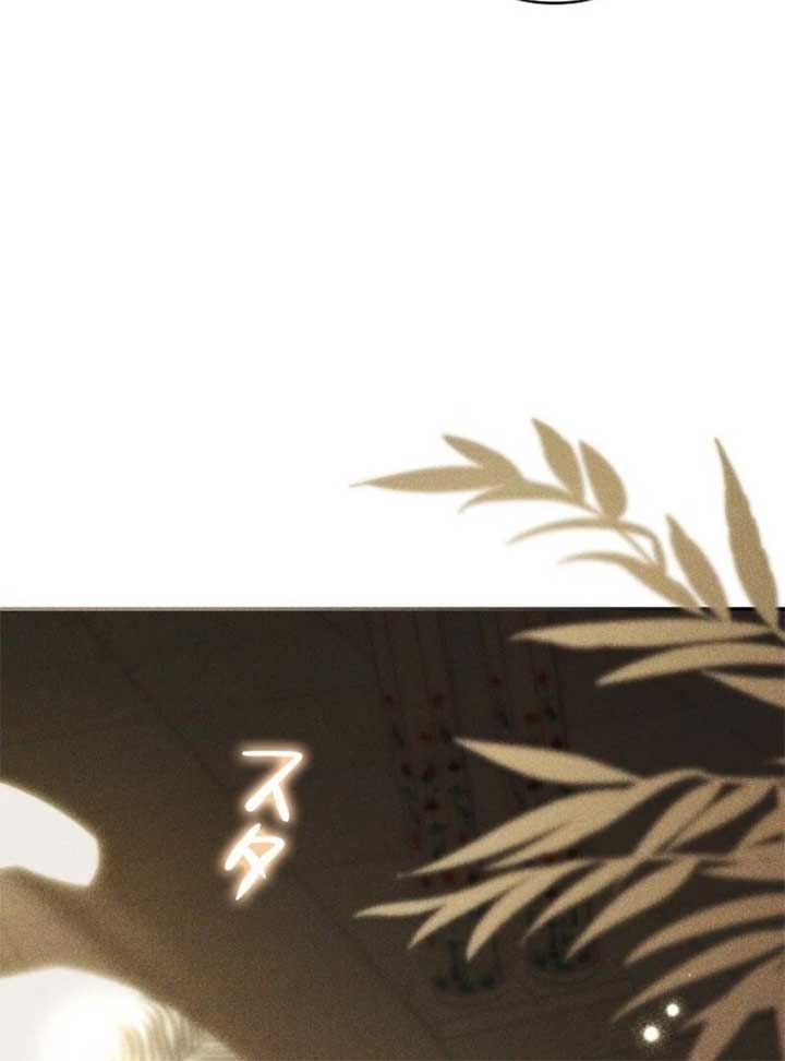 Lily Bush’s Substitute Marriage Chapter 24 - Page 64