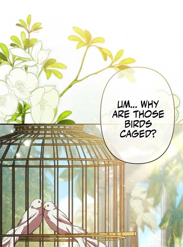 Lily Bush’s Substitute Marriage Chapter 24 - Page 95