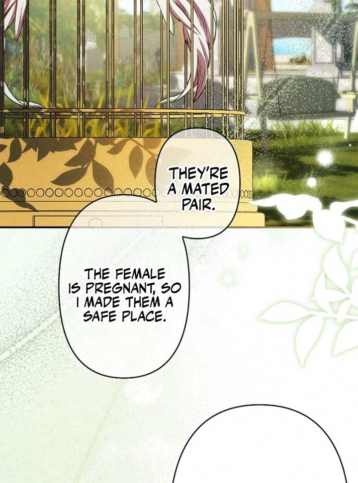 Lily Bush’s Substitute Marriage Chapter 24 - Page 96