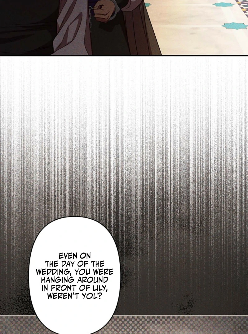 Lily Bush’s Substitute Marriage Chapter 33 - Page 11