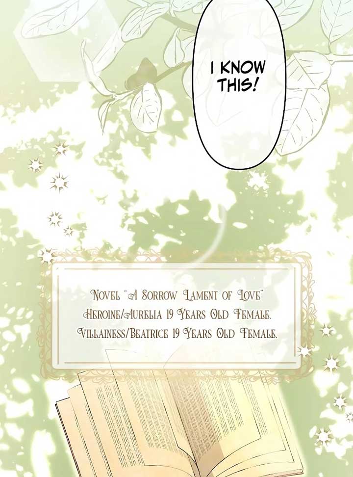 I Tried to be a Villainess, But Now I’m Being Obsessed Over?! Chapter 1 - Page 11