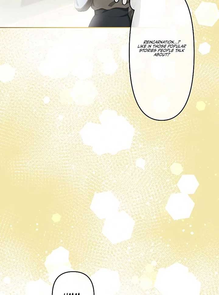 I Tried to be a Villainess, But Now I’m Being Obsessed Over?! Chapter 1 - Page 28