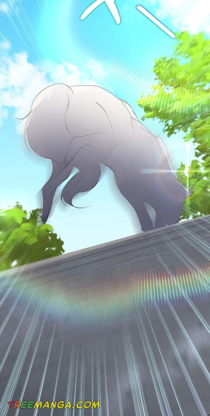 I Will Temporarily Protect the Male Lead Chapter 7 - Page 60