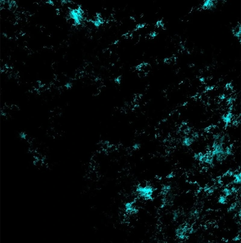 I Need Someone to Stop My Older Brothers Chapter 17 - Page 48