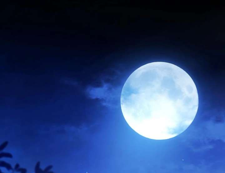 The Obsessed Young Prince Loves the Unlucky Princess Too Much! Chapter 1 - Page 116